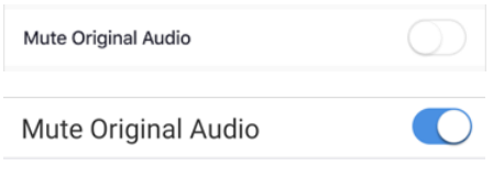 Zoom mobile screen showing Mute Original Audio toggle